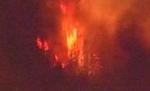 California, afectată din nou de incendii de vegetaţie