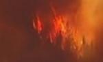 Stare de urgenţă în California din cauza incendiilor de vegetaţie