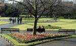 Cadavrul unei românce, descoperit într-un parc din Dublin
