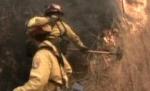 Incendii de vegetaţie în Grecia: Flăcările au scăpat de sub control în centrul ţării (VIDEO)