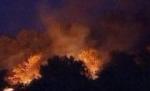 Incendii de vegetaţie, în Grecia: Două focare au izbucnit la periferia de nord a Atenei (VIDEO)
