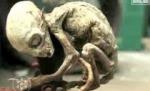 Imagini cu un extraterestru, prins într-o cursă pentru animale, în Mexic, în 2007 (FOTO şi VIDEO)