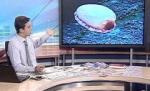 Lumea lui Mircea Badea. 