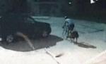 SUA. Un politician trece pe roşu şi loveşte în plin un biciclist (VIDEO)