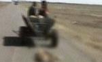 Cadavrele a doi câini, târâte cu o căruţă în Brăila (IMAGINI ŞOCANTE)