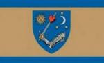 Radicalii maghiari cer UDMR să arboreze drapelul Ţinutului Secuiesc în Parlamentul României
