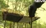 Laptopul, un nou obiect zburător identificat (VIDEO)
