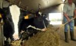 Dacian Cioloş concurează cu un austriac pentru postul de comisar european pe agricultură