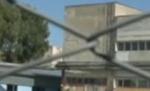 Bucăţi din trupul devorat de animale al unui nou-născut, descoperite în curtea unei fabrici din Bacău (VIDEO)