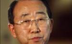 Secretarul general al ONU a convocat, la New York, o adunare generală pe probleme de mediu