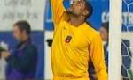 Victoria portarilor. Zapata şi Coman 