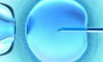 Fertilizarea in vitro, interzisă de lege, printr-un ordin al fostului Ministru al Sănătăţii, Ion Bazac
