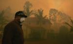 Australia. Incendiile de vegetaţie au scăpat de sub control