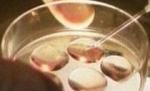 Ministerul Sănătăţii va aloca 500.000 euro pentru susţinerea cuplurilor care recurg la fertilizarea in vitro