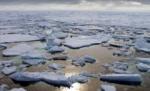 SUA acordă Shell dreptul de a fora în zona arctică

