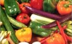 Încălzirea globală va fi combătută de vegetarieni 