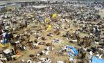 Peste 300.000 de animale vor fi sacrificate la un festival nepalez. Brigitte Bardot, vocea protestelor internaţionale