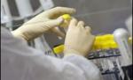 Încă doi români au murit din cauza gripei porcine. Numărul deceselor din ţară a ajuns la opt