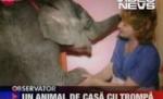 O femeie din Ucraina are un elefant de companie (VIDEO)