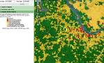 Google a prezentat tehnologia de monitorizare a despăduririlor
