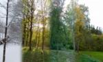 Un an în 90 de secunde. Milioane de accesări pe net pentru clipurile unui norvegian (VIDEO)
