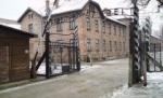 Fost lider neonazist, implicat în furtul semnului de la Auschwitz 
