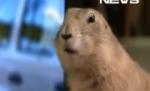 Topul celor mai proaste reclame de la Super Bowl (VIDEO)