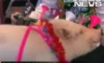 Purcei talentaţi: Ştiu să joace fotbal, se dau cu skateboard-ul şi fac acrobaţii (VIDEO)