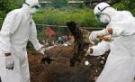 Virusul gripei aviare, o nouă ameninţare: Poate deveni 