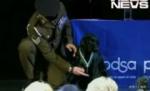 Câine decorat în Marea Britanie cu echivalentul celei mai înalte distincţii militare (VIDEO)

