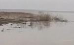 Dunărea a ieşit din matcă: Sute de hectare de teren, inundate. Vezi când se emite Cod Roşu (VIDEO)
