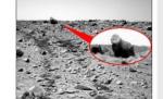 Gorilă uriaşă cu spatele argintiu, fotografiată pe Marte de un robot NASA (FOTO)