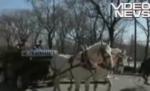 Un american şi-a transformat Hummer-ul în căruţă (VIDEO)
