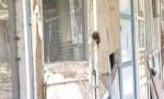Taberele şcolare sunt pe cale de dispariţie. Unele nu au mai fost finanţate de 14 ani (VIDEO)
