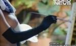 O femeie sexy pictează dezbrăcată - VIDEO