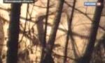 Trei oameni, în stare gravă la spital, după ce un avion de pasageri a aterizat forţat lângă Moscova