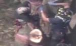 American captiv în copac în timp ce tăia crengile uscate (VIDEO)