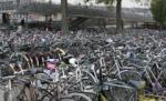 Bucureştenii pot închiria gratuit biciclete în parcurile Herăstrău şi Kiseleff