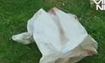 Imagini şocante. Un bărbat şi-a decapitat tatăl şi s-a plimbat cu capul prin sat (VIDEO)