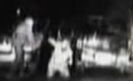 Un poliţist american a snopit în bătaie un şofer fără motiv (VIDEO)