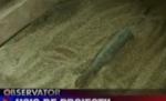 Brăila. Un bărbat a murit după ce a încercat să sudeze o coadă metalică unui proiectil (VIDEO)