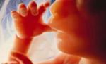 Italia. Un copil a trăit două zile după ce a fost avortat