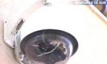 Bulgaria. Mai mulţi români au rămas fără maşinile parcate în faţa hotelului