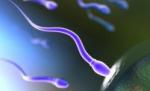 Metodă contraceptvă masculină: Bărbaţii rămân temporar infertili, după ce sunt 