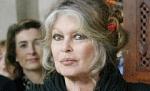 Brigitte Bardot protestează faţă de legea privind câinii comunitari din Bucureşti
