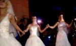 Peste 20 de mirese furate şi aduse la Arcul de Triumf (VIDEO)