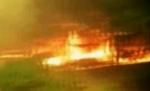 Portugalia: Zeci de hectare de pădure, mistuite de incendiile de vegetaţie 