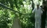 Un orb, nevoit să folosească un şnur cu clopoţei din lipsă de bani de îngrijitor