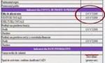 Afacerea perfectă: Profit de 3,7 miliarde euro, niciun angajat (VIDEO)