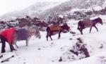 Viscol, ceaţă şi 15 centimetri de zăpadă, în masivul Retezat